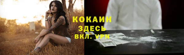 сатива Абинск