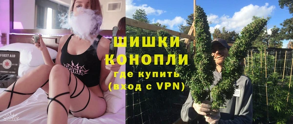 сатива Абинск