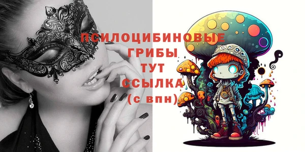 сатива Абинск