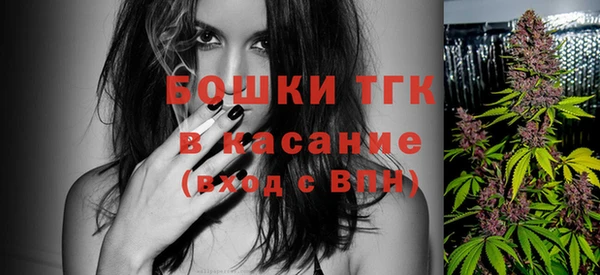 сатива Абинск